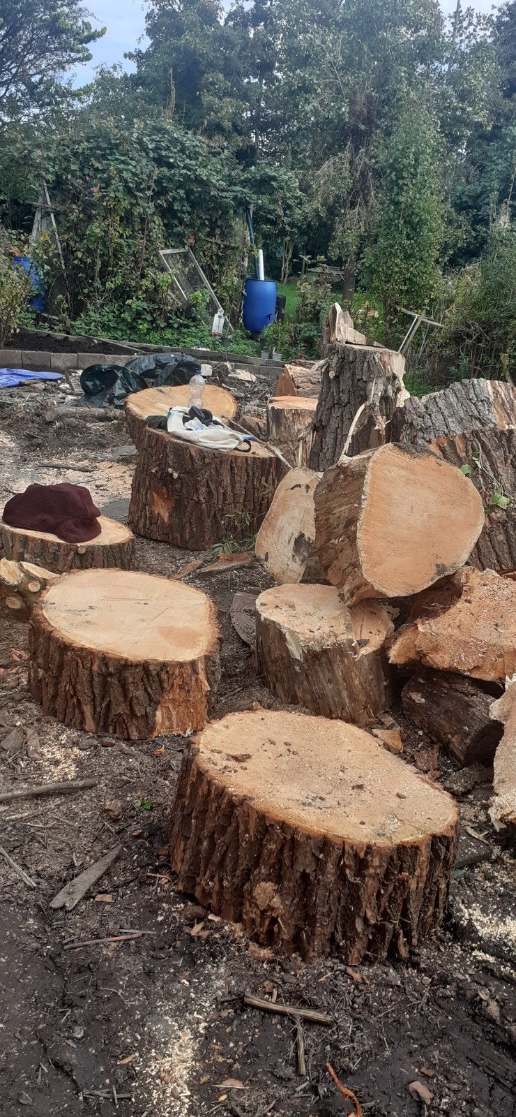 Gratis Haardhout. Zelf ophalen in Leidschendam., Minder dan 3 m³, Ophalen of Verzenden