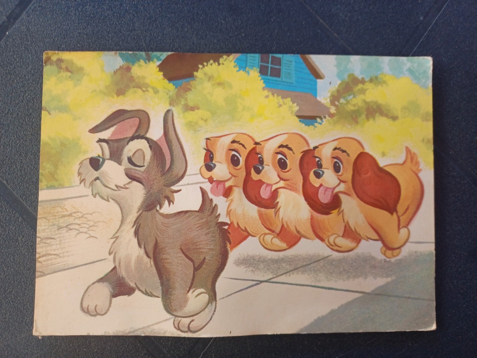 Piep kaart Disney Rakker en de zusjes, Ophalen of Verzenden, 1980 tot heden, Ongelopen, Sterren en Beroemdheden