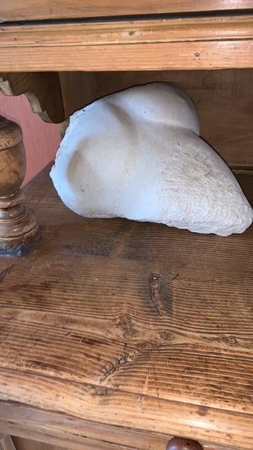 Uniek witte Sculptuur, Ophalen, Natuurlijk materiaal, Buste, 20 - 50 cm