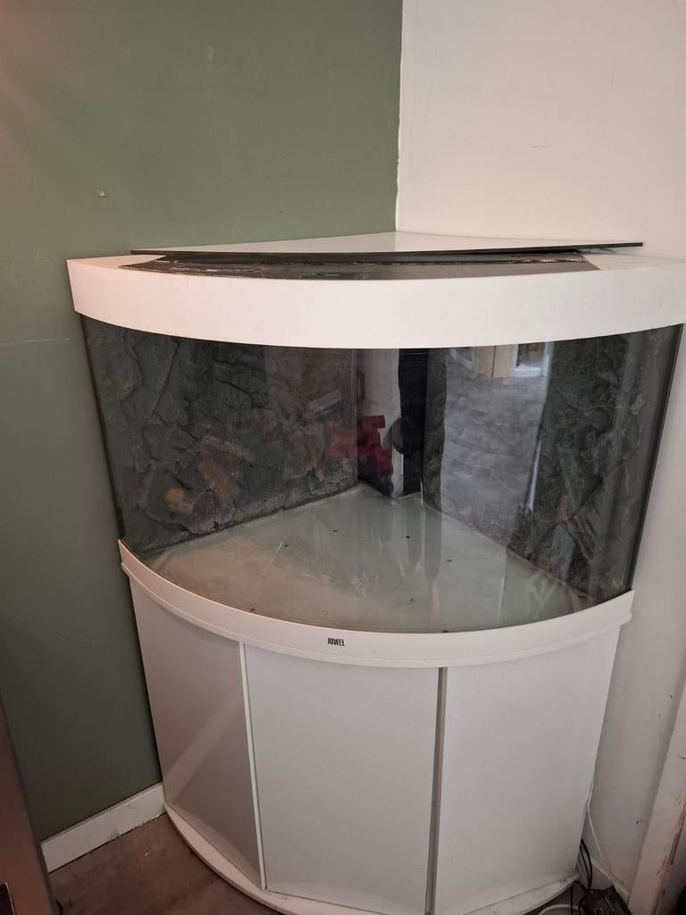 Aqarium, Dieren en Toebehoren, Vissen | Aquaria en Toebehoren, Ophalen of Verzenden, Leeg aquarium