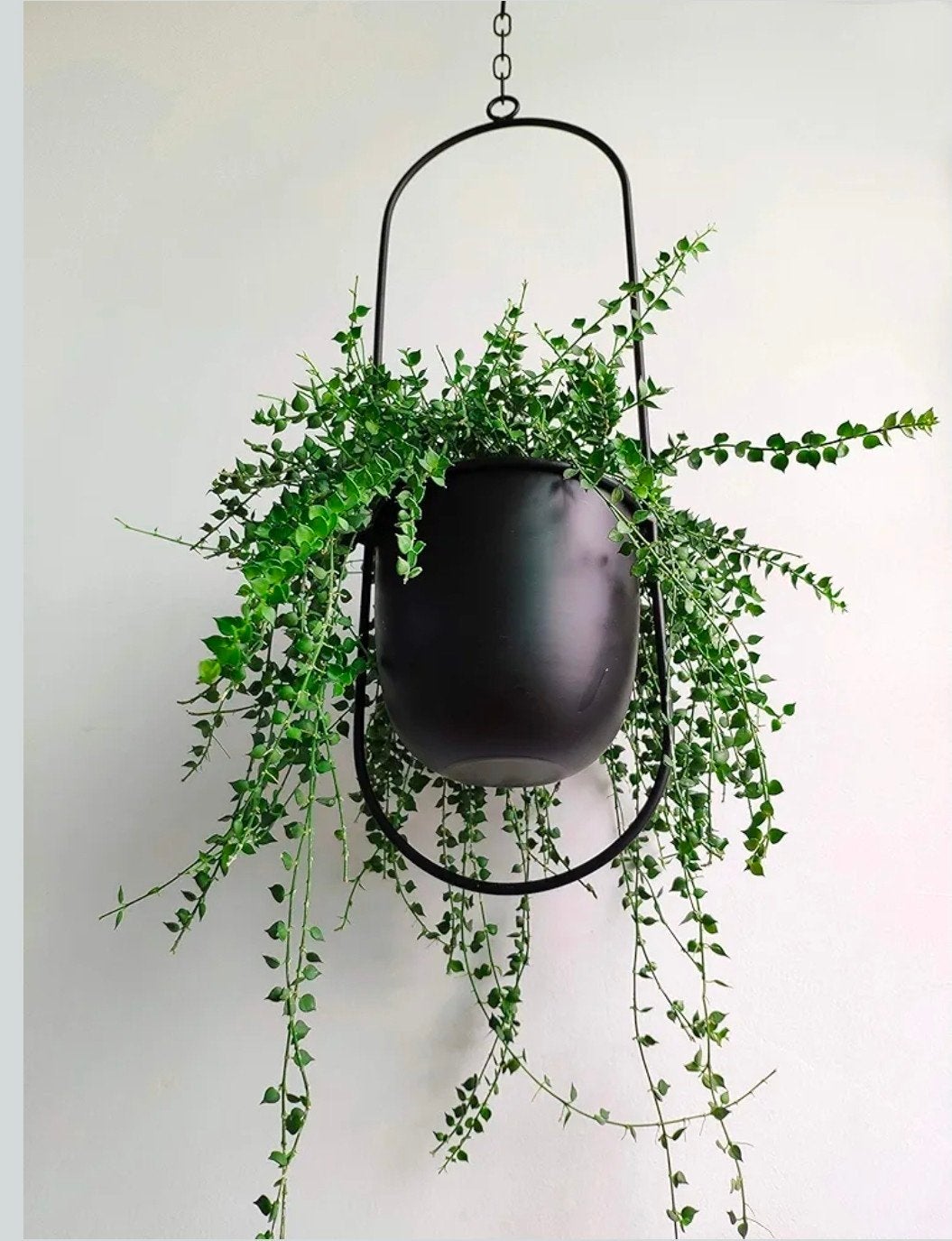 4x Boho Zwarte Metalen Plantenhanger, Ophalen, Zwart, Zo goed als nieuw, Metaal