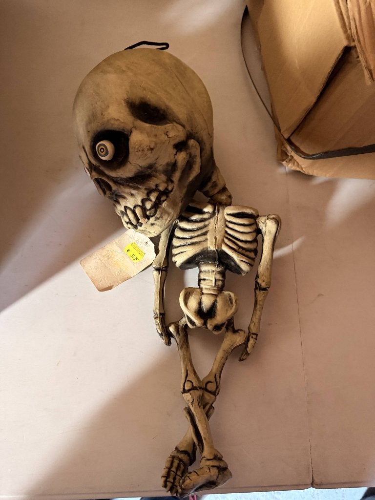 TE KOOP rubber skelet hoofd groot, Ophalen of Verzenden, Nieuw, Feestartikel, Halloween of Griezel