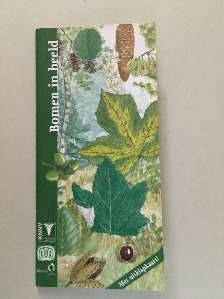 Bomen in beeld, Boeken, Ophalen of Verzenden, Nieuw, Natuur algemeen
