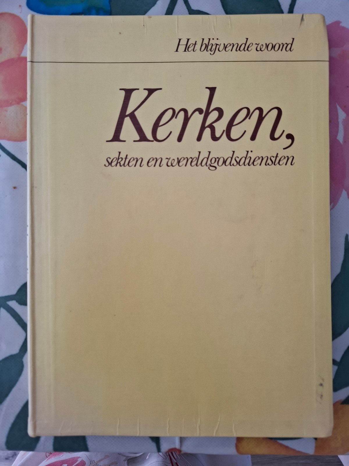 Kerken, sekten en wereldgodsdiensten - H.g. Leertouwer, Boeken, Godsdienst en Theologie, Ophalen of Verzenden, Gelezen, H.g. Leertouwer