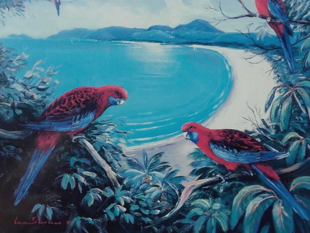 Drie mooie vintage ingelijste prenten met vogels 26-61 cm., Ophalen of Verzenden