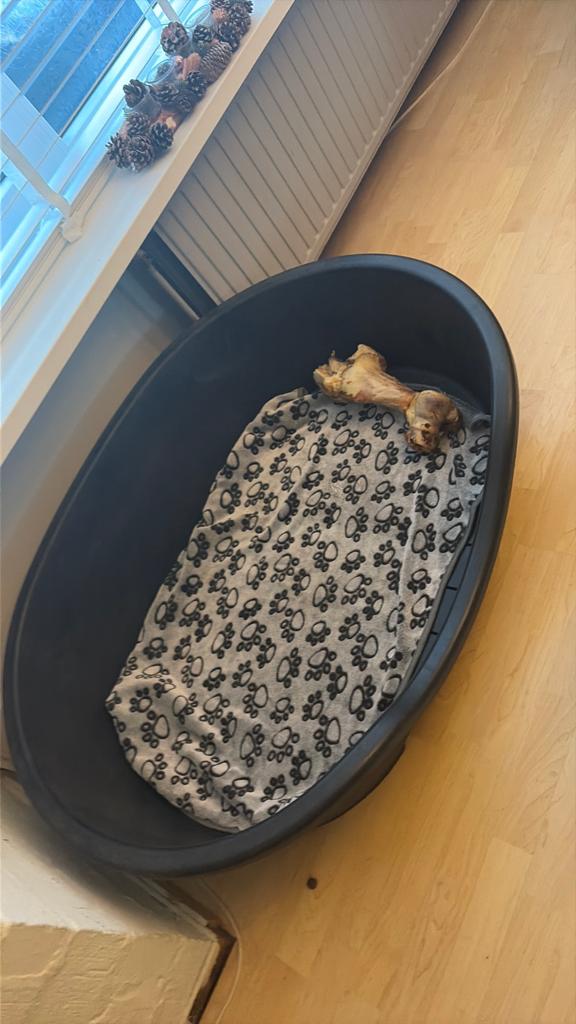 Grote honden mand, Dieren en Toebehoren, Hondenmanden, Ophalen of Verzenden, Zo goed als nieuw, Overige