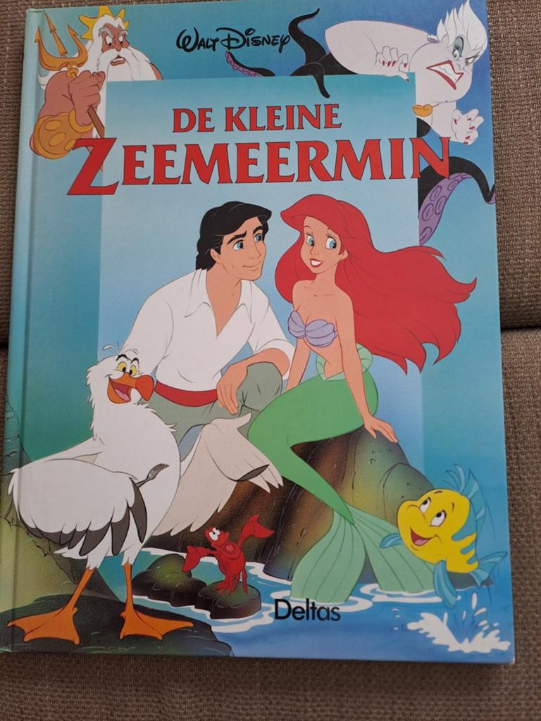 De kleine Zeemeermin, Boeken, Ophalen, Zo goed als nieuw