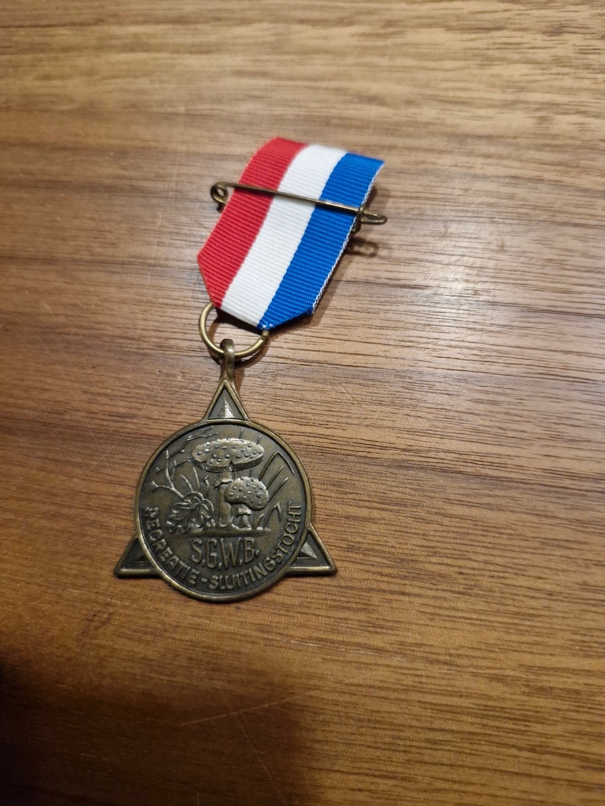 087 Vintage S.G.W.B. Recreatie-Sluitingstocht Medaille, Ophalen of Verzenden, Gebruikt
