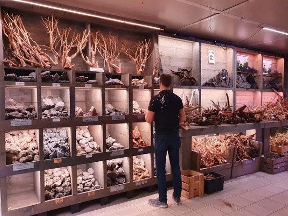 Hardscape, Dieren en Toebehoren, Vissen | Aquaria en Toebehoren, Ophalen, Nieuw, Plant(en), Steen of Hout