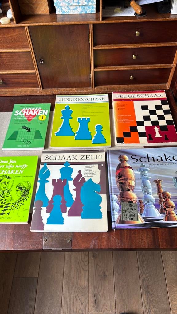 Jeugdschaken- schaken- juniorenschaak, Ophalen of Verzenden, Zo goed als nieuw