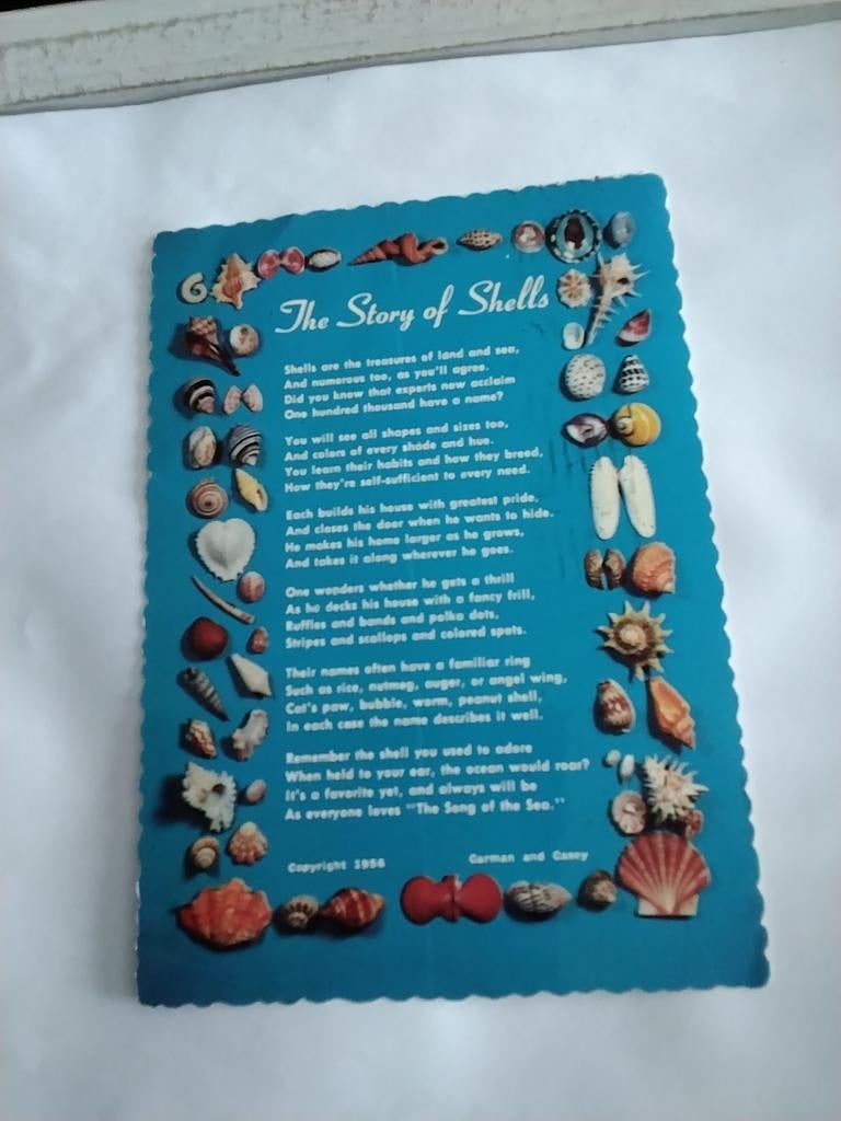 THE STORY OF SHELLS. 1956, Ophalen of Verzenden, 1940 tot 1960, Overige thema's