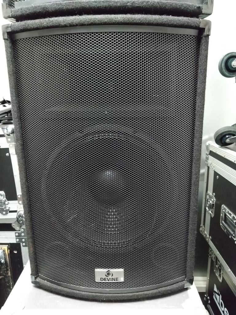 Devine Speaker - Krachtige Geluidsweergave, Overige merken, Gebruikt, Ophalen of Verzenden, 120 watt of meer