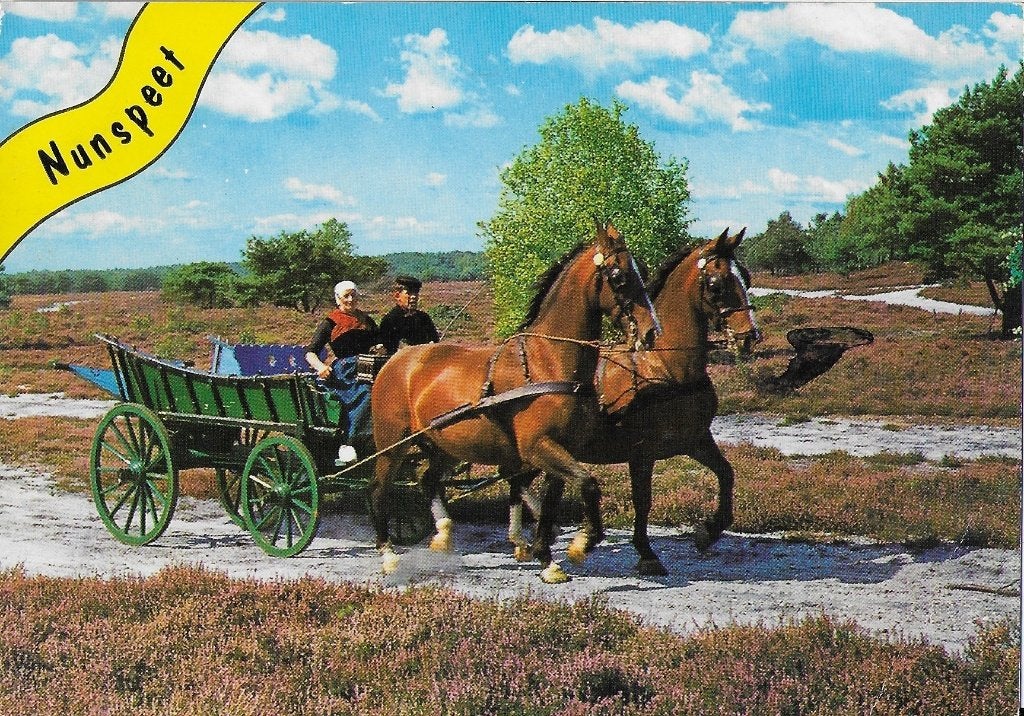 X1315 gelopen ansichtkaart Drenthe, Verzenden, 1980 tot heden, Gelopen, Drenthe