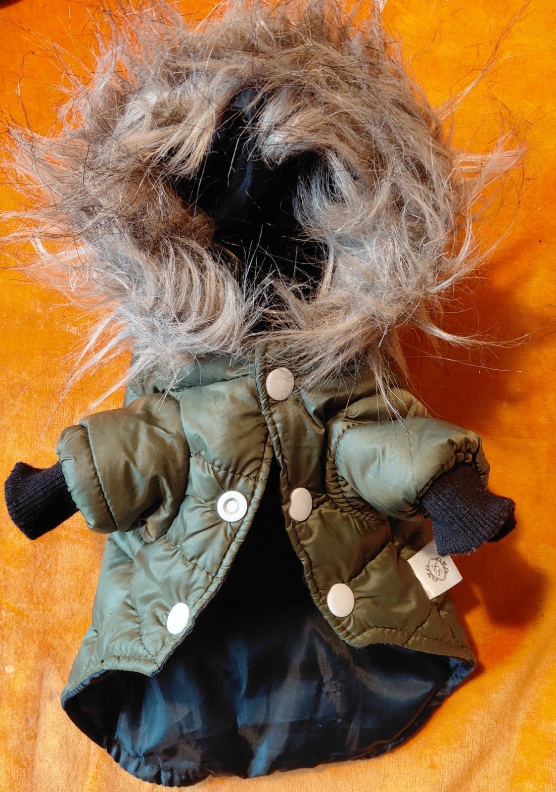 Stoere legergroene hondenwinterjas met bontkraag – Maat XS (, Ophalen of Verzenden, Hondenjas