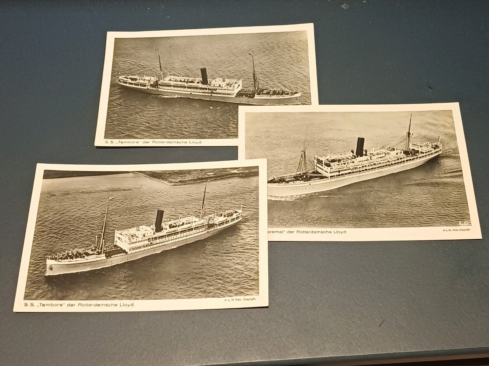 3x Ansichtkaarten Rotterdamsche Lloyd, Verzamelen, Ophalen of Verzenden, Zuid-Holland