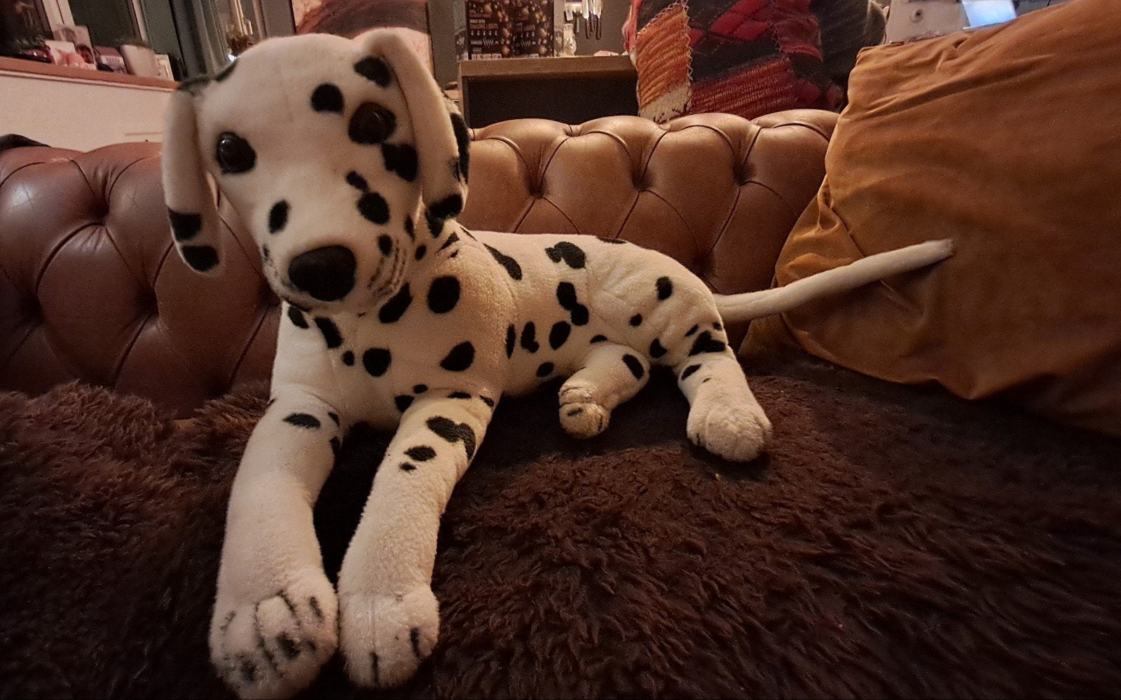 Dalmatiër knuffelhond - American Kennel Club -101 dalmatier, Overige merken, Middelgroot (20 tot 80 cm), Wit, Hond