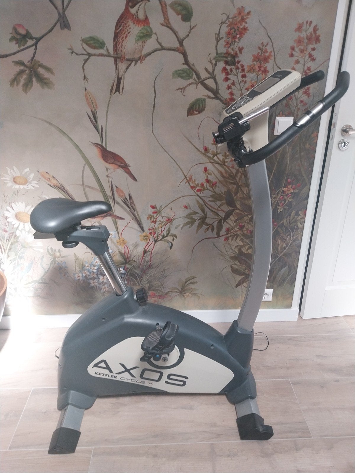 Kettler Axos Cycle P Hometrainer - Zo goed als nieuw, Ophalen of Verzenden, Zo goed als nieuw, Metaal, Benen