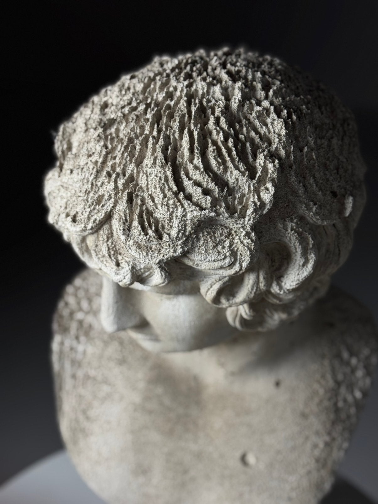 Borstbeeld Antinous klassiek, Ophalen, Zo goed als nieuw