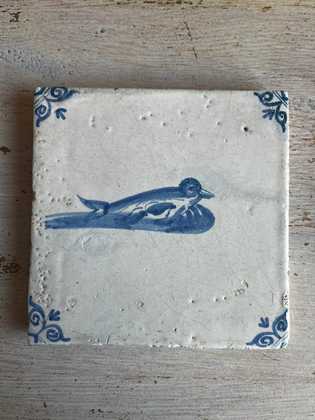 Tegel zeer zeldzaam pinguin, Ophalen of Verzenden