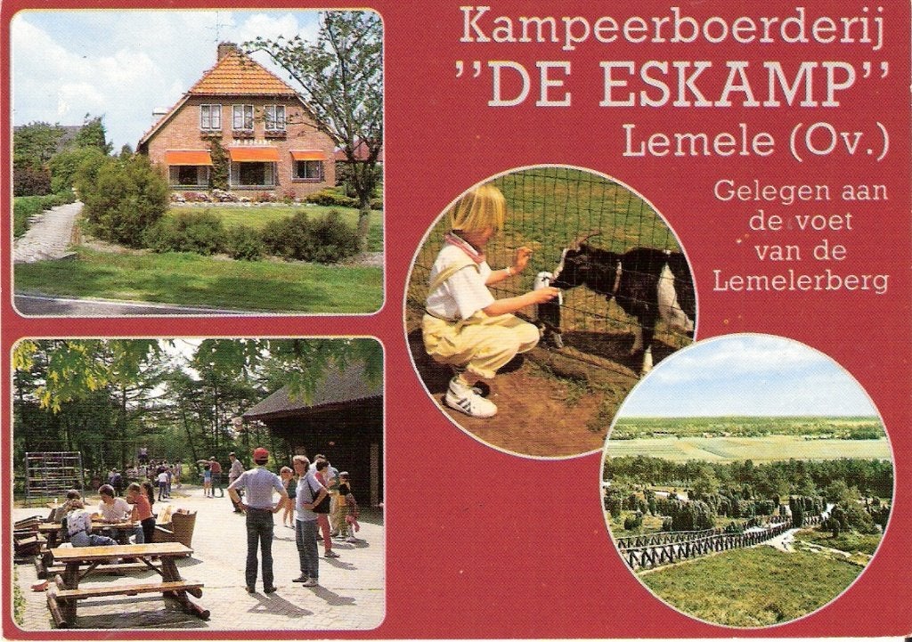 Lemele  590a, Verzamelen, Ansichtkaarten | Nederland, Ophalen of Verzenden, Voor 1920