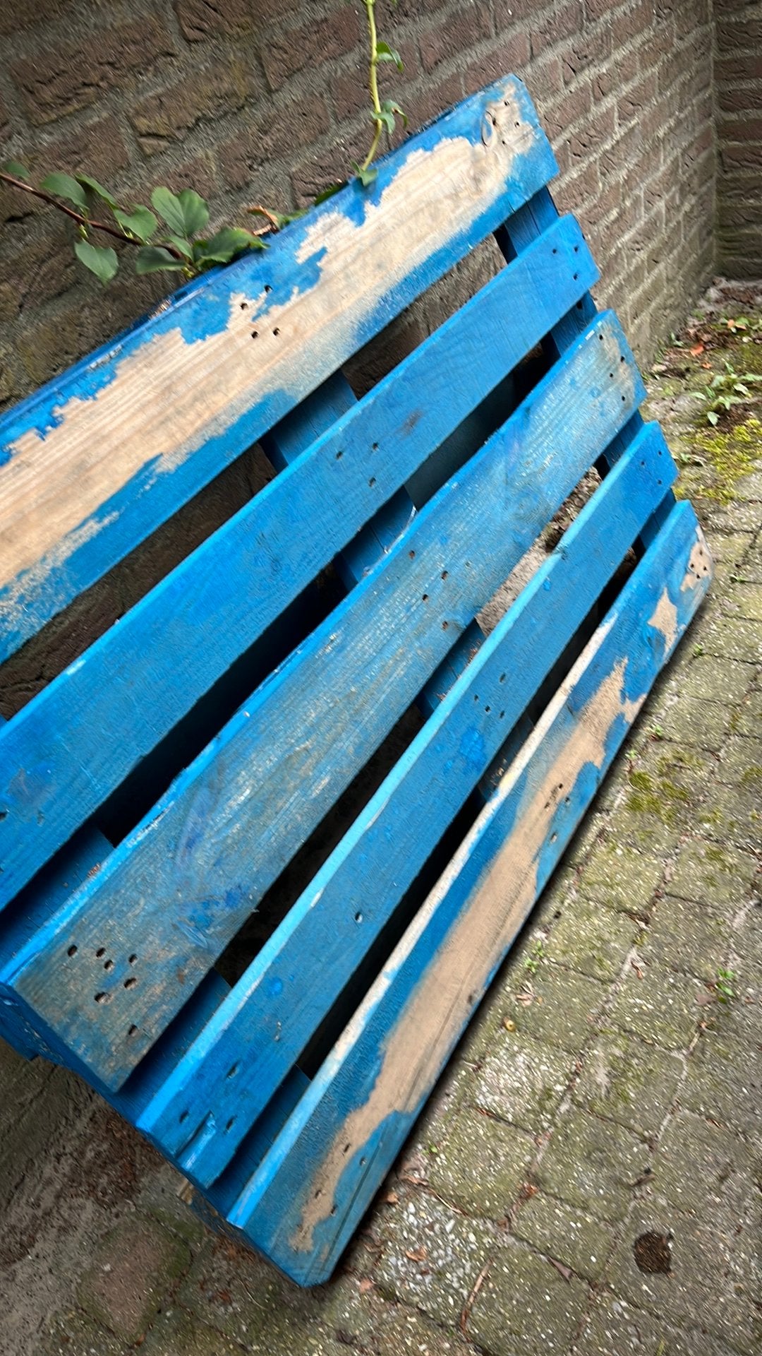Gratis ophalen denk een euro pallet?, Ophalen of Verzenden