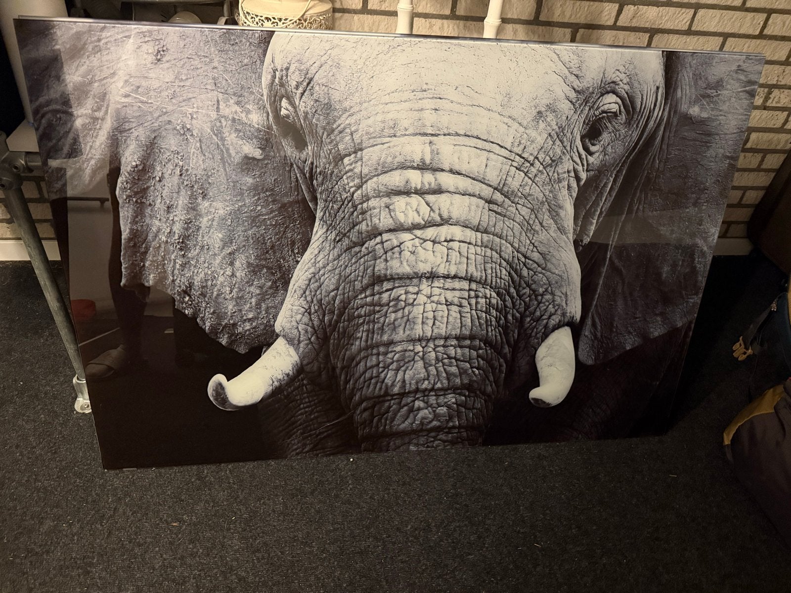 Foto schilderij olifant 120x80 cm, Ophalen, Print, Dieren, Overige ondergronden