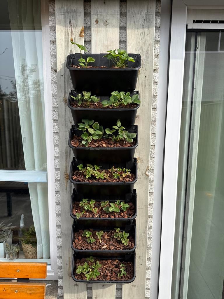 Verticale plantenbakken voor aardbeien of kruiden, Kunststof, Minder dan 30 cm, Minder dan 60 cm, Nieuw