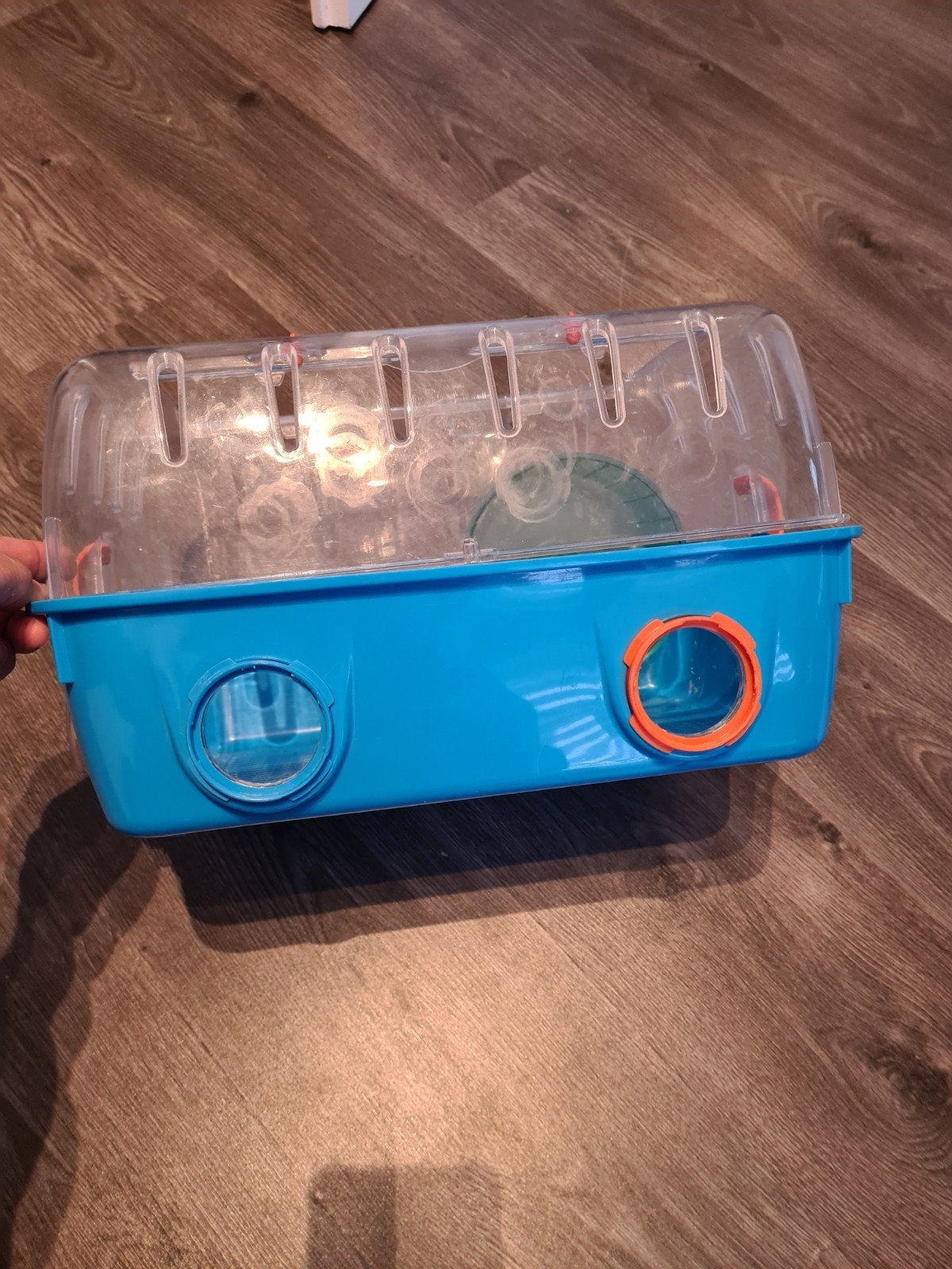 Kooien, Ophalen of Verzenden, Minder dan 75 cm, Kooi, Minder dan 60 cm