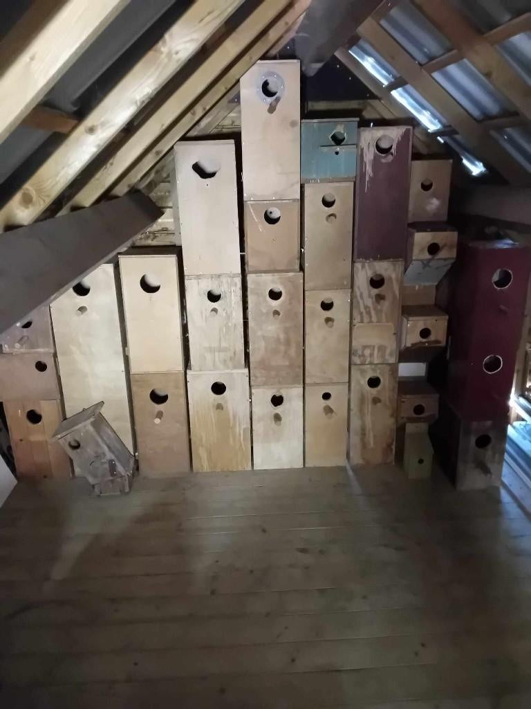 te koop diverse broedblokken, Dieren en Toebehoren, Ophalen, Gebruikt, Hout, Broedkooi of Kweekkooi