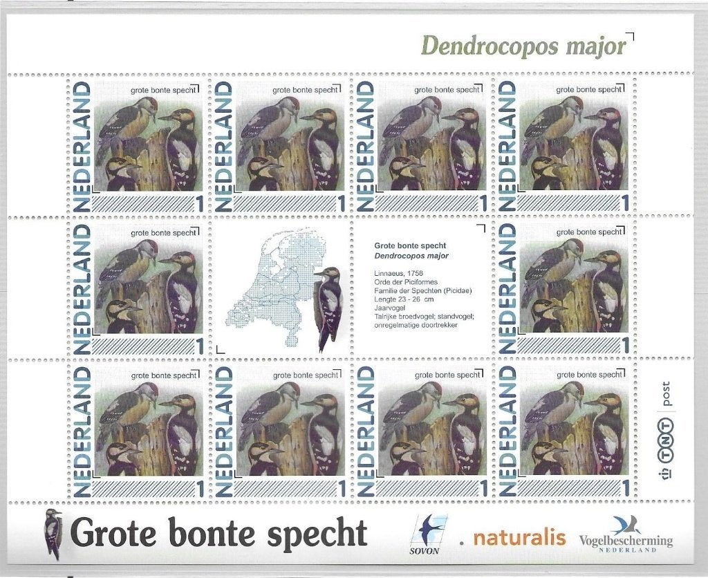 Vel persoonlijke zegels, vogels Grote bonte Specht postfris, Ophalen of Verzenden, Postfris