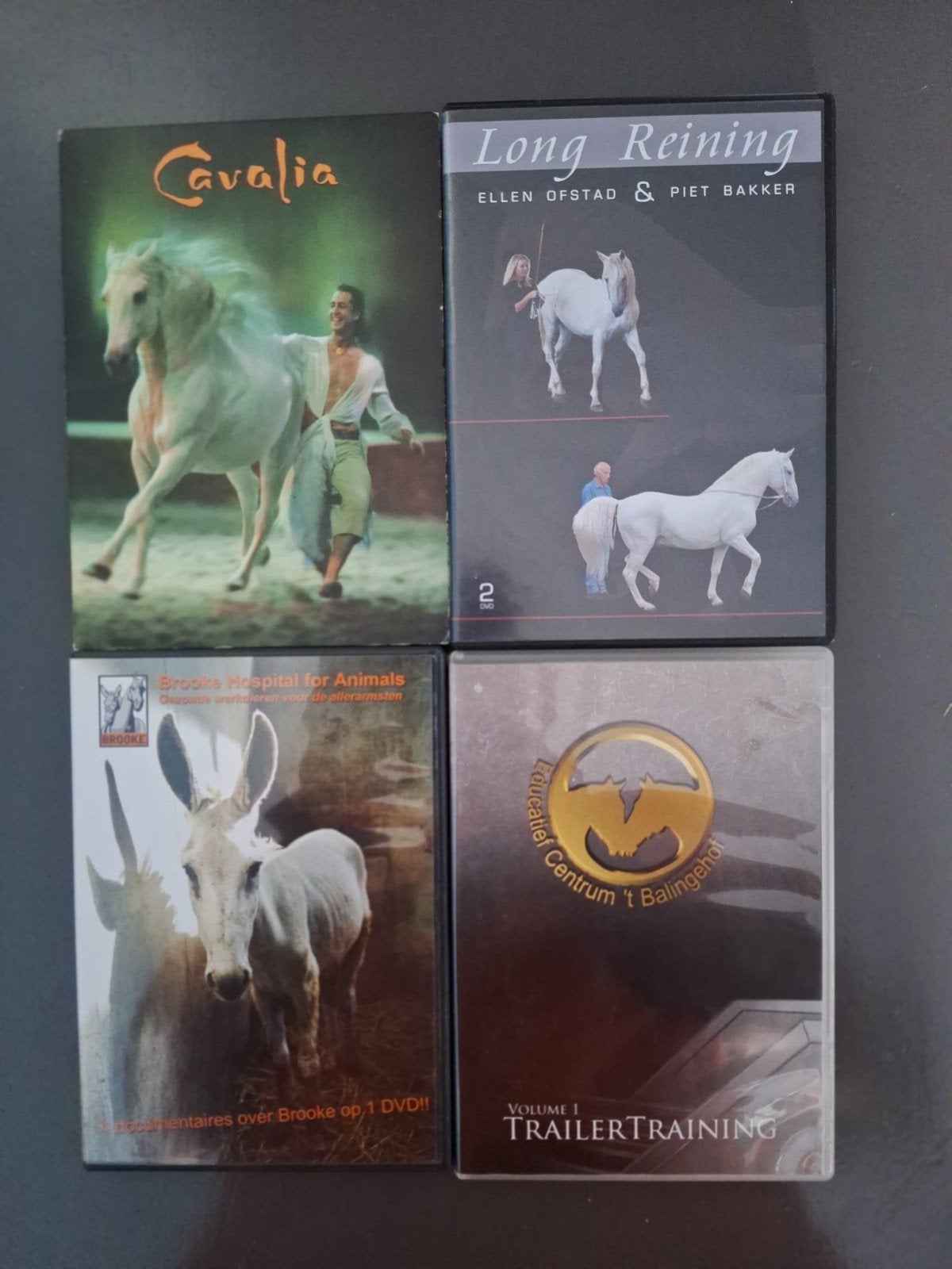 4 dvds paard: cavalia, long reining, Brooke, trailertraining, Alle leeftijden, Ophalen of Verzenden, Zo goed als nieuw