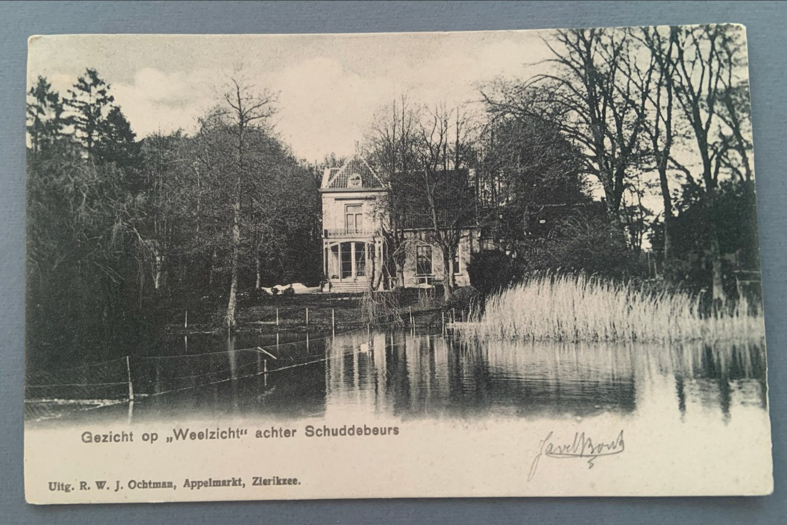 'Gezicht op Weelzicht' Schuddebeurs, Verzenden, Voor 1920, Ongelopen, Zeeland