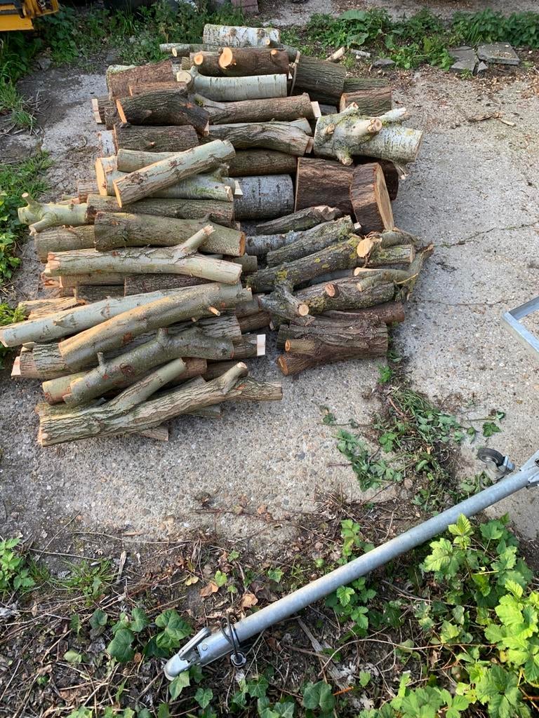 Haardhout, 3,25 m3, 3 tot 6 m³, Ophalen, Overige houtsoorten, Stammen