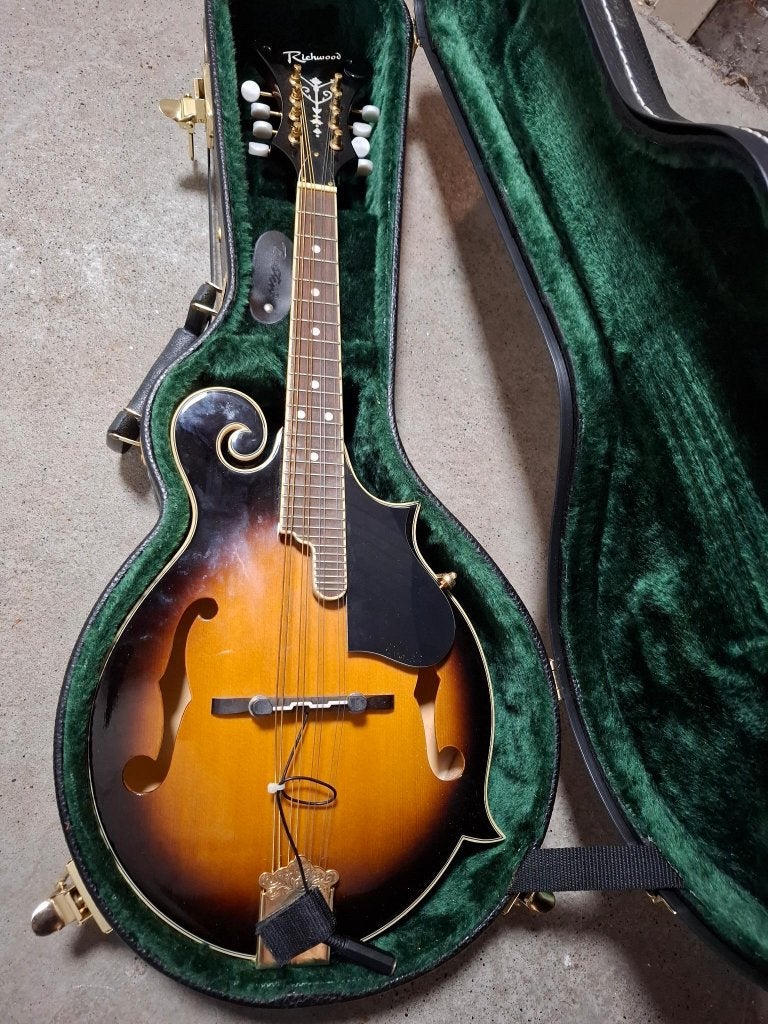 Prachtige Richwood Mandoline & Viool (Inclusief Koffers), Ophalen, Zo goed als nieuw
