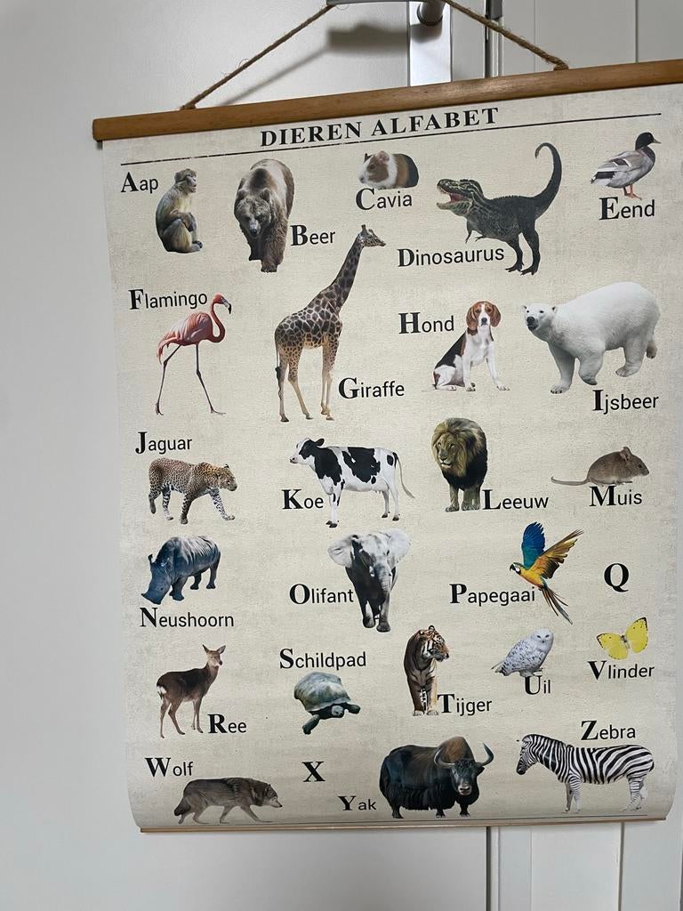 Dieren ABC Poster - 50x71 cm - Educatief, Ophalen, Natuur en Biologie