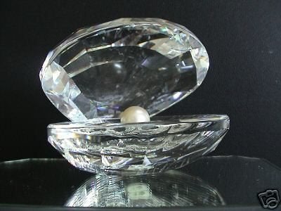 swarovski Pareloester, Ophalen of Verzenden, Nieuw, Overige typen