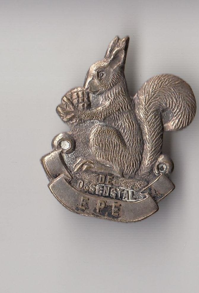Epe de Ossenstal Eekhoorn broche, Gebruikt, Niet vindbaar, Niet vindbaar, Speldje of Pin