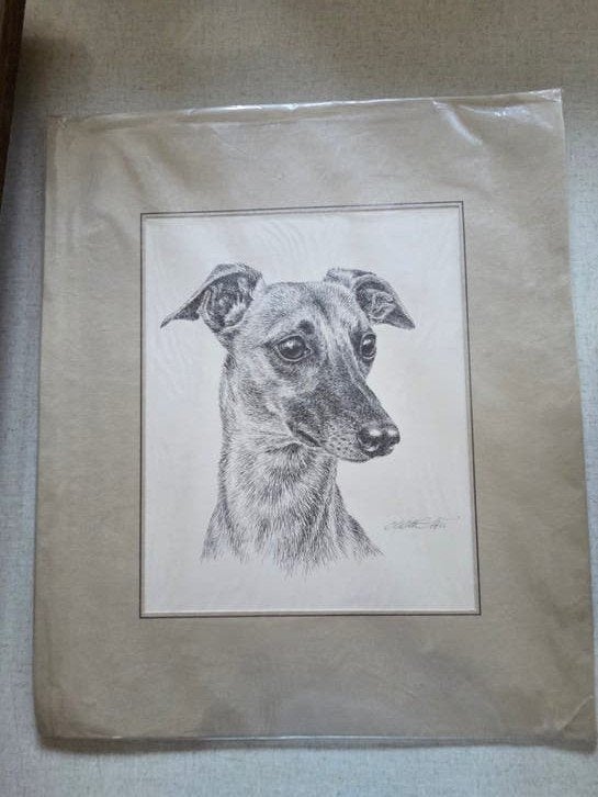 Originele pentekening van een windhond, gesigneerd