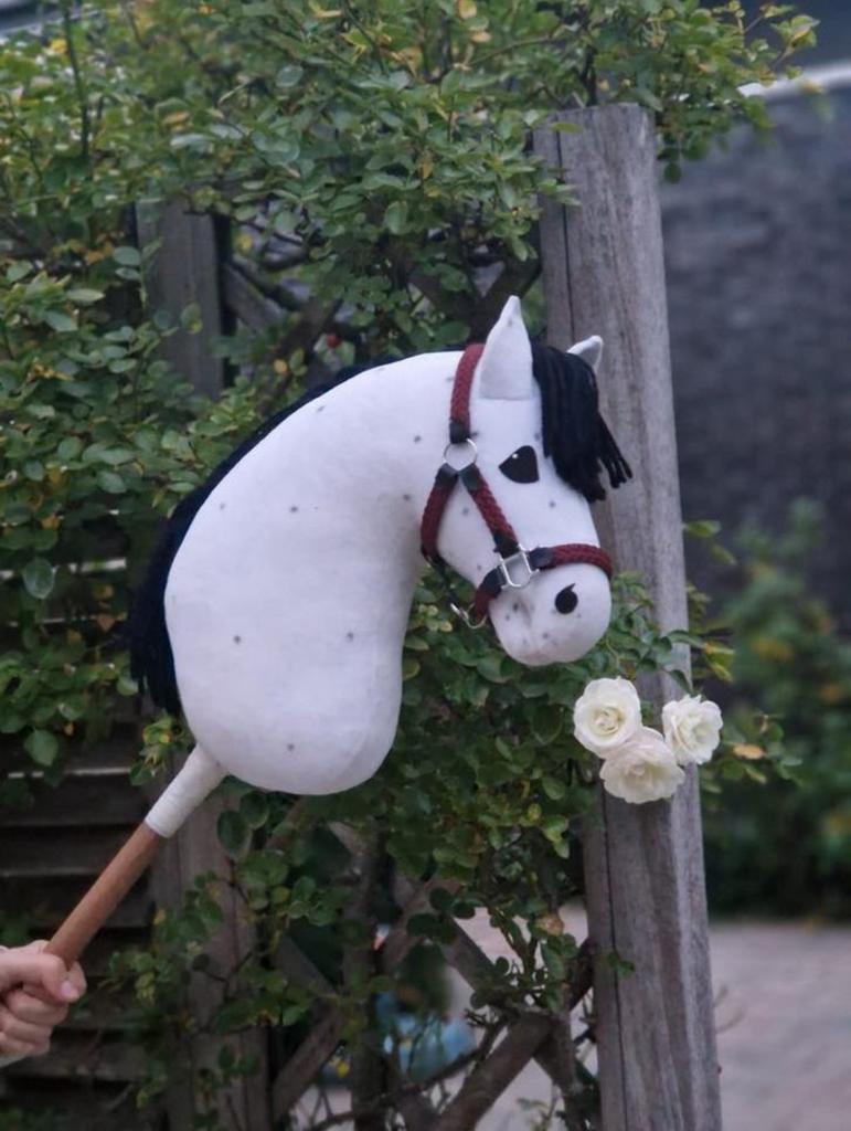 TSW Hobbyhorse tekoop!, Hobby en Vrije tijd, Overige Hobby en Vrije tijd, Ophalen of Verzenden