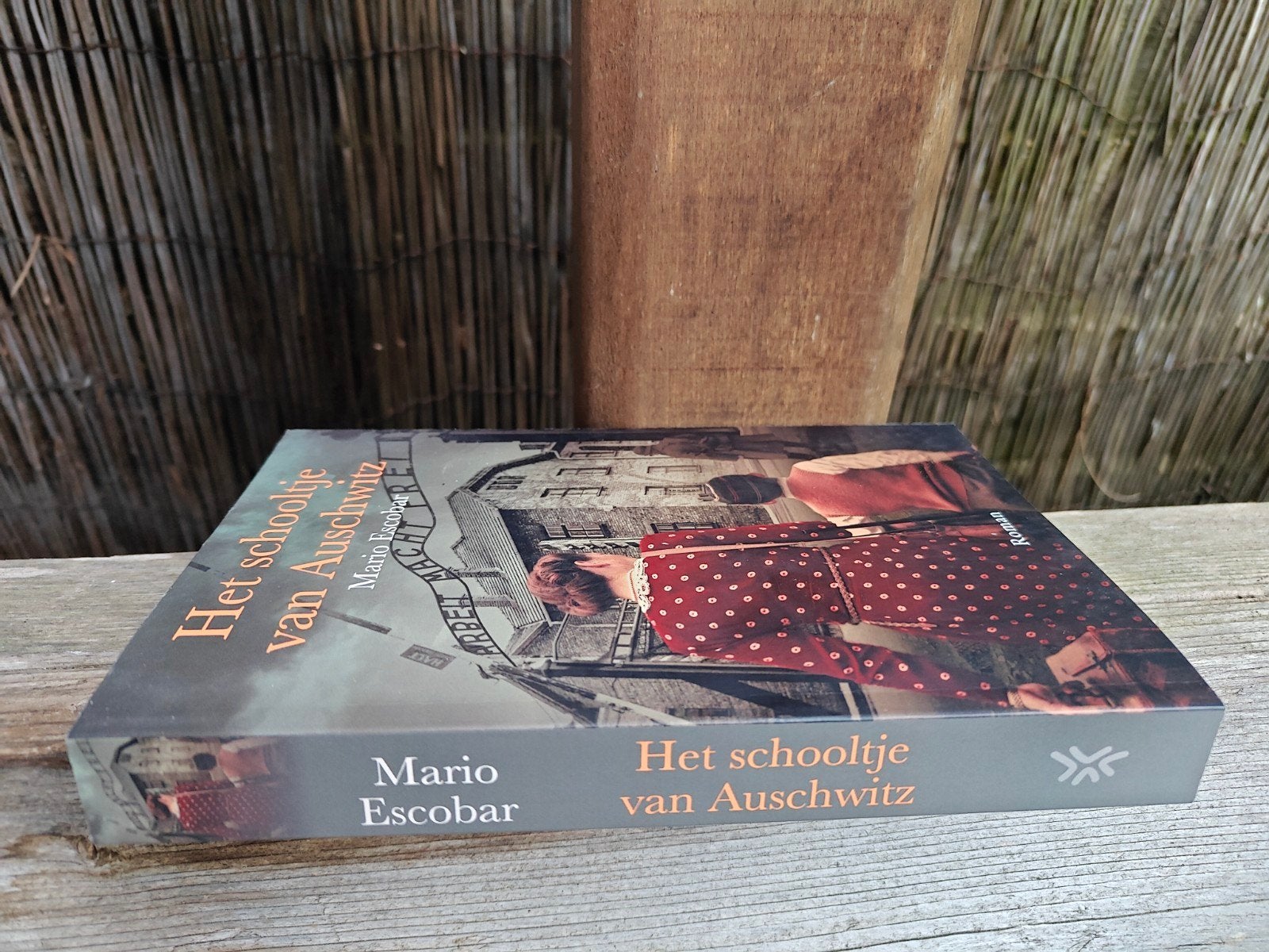 Het schooltje van Auschwitz - Mario Escobar (Roman), Boeken, Ophalen of Verzenden, Zo goed als nieuw, Mario Escobar
