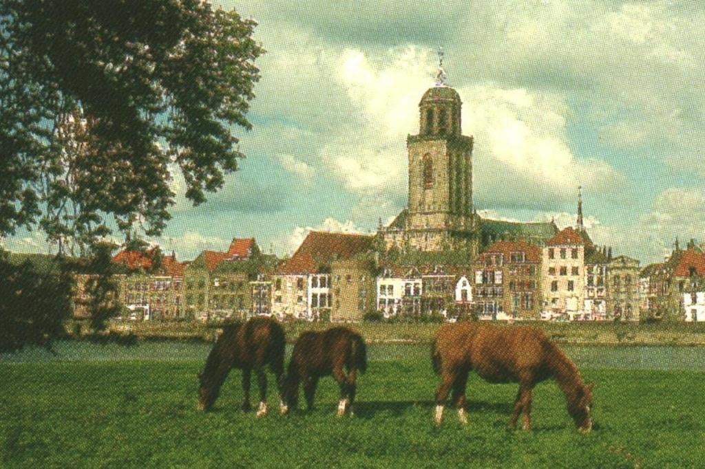 993043 Deventer 80+ Brink Bergkerk IJsselfront Gelopen, Ophalen of Verzenden, 1980 tot heden, Gelopen, Overijssel