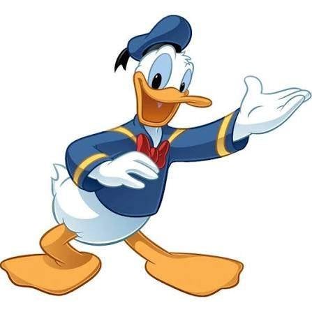 Donald Duck diverse jaargangen, Donald Duck, Meerdere stripboeken, Ophalen, Gelezen