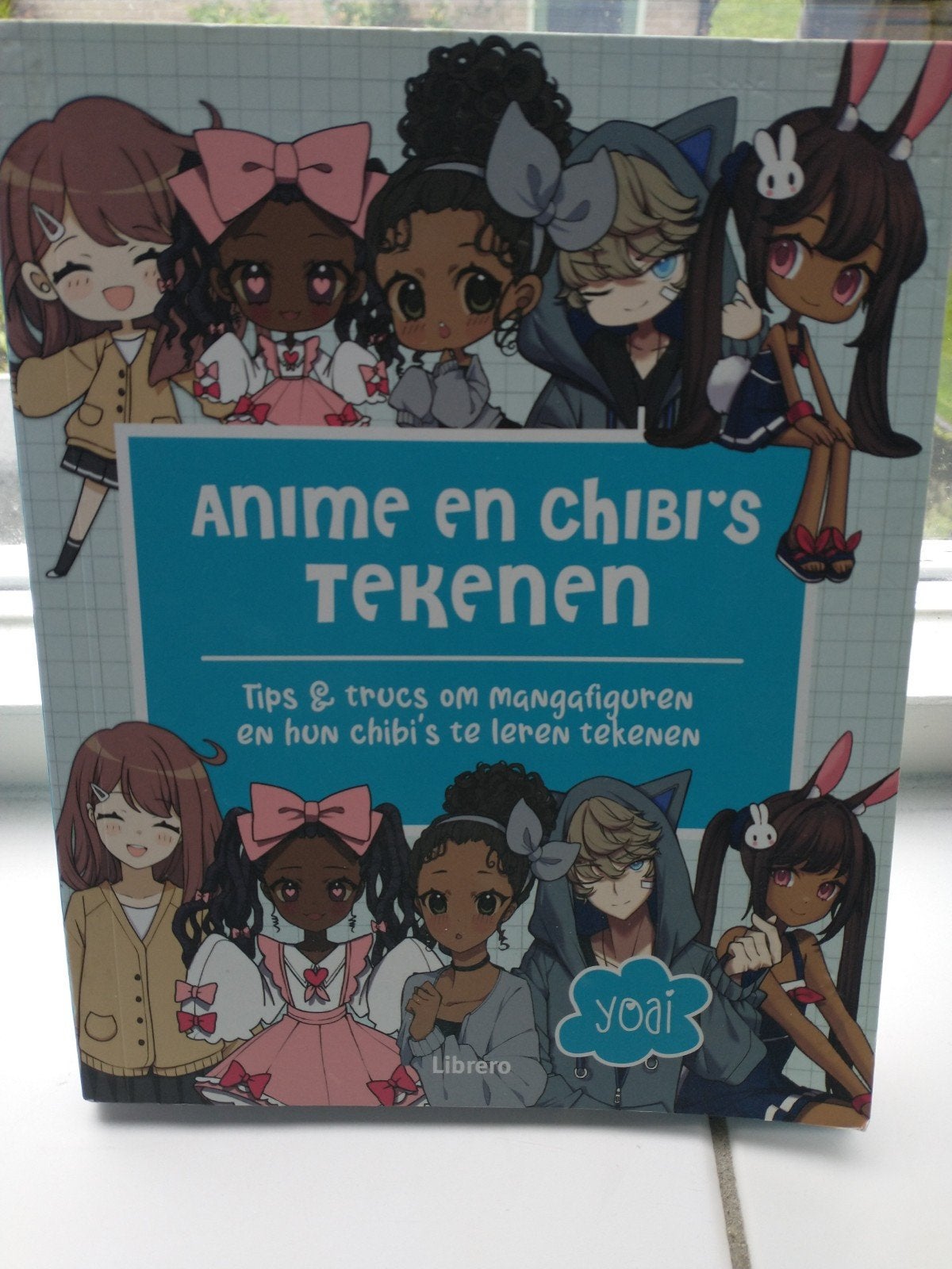 Anime teken boek, Boeken, Ophalen of Verzenden, Zo goed als nieuw