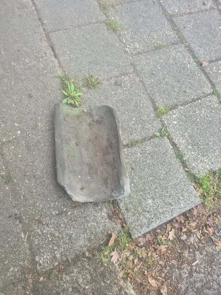 Oud hollandse dakpannen, Gebruikt, Steen of Klei, Zwart, Ophalen of Verzenden