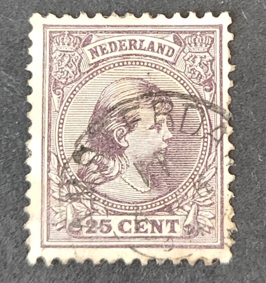 Nederland NVPH 42, Postzegels en Munten, Postzegels | Nederland, Verzenden, T/m 1940, Gestempeld