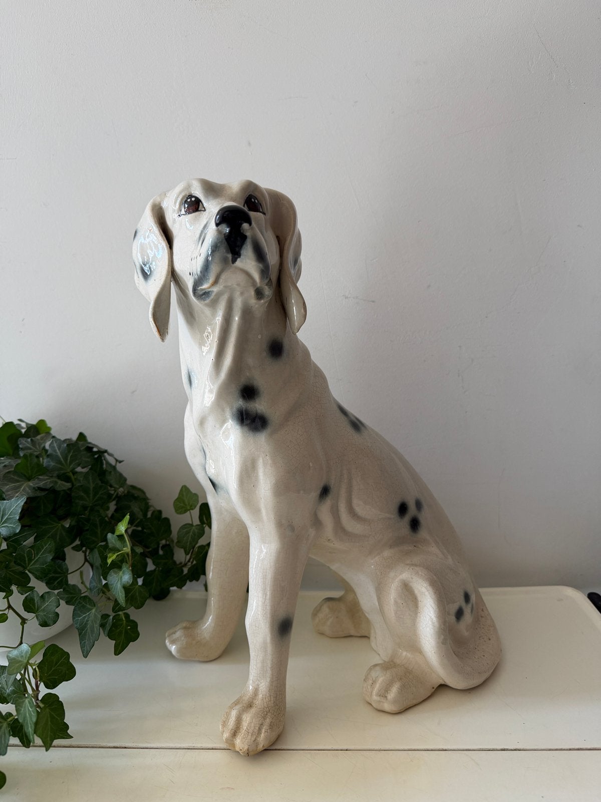 Italiaans beeld hond dalmatiër, Ophalen of Verzenden