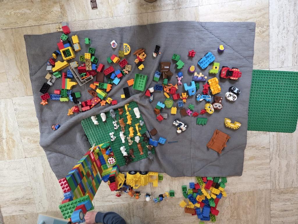 Grote Duplo collectie — blokken, dieren, poppetjes & meer, Kinderen en Baby's, Speelgoed | Duplo en Lego, Ophalen, Overige thema's