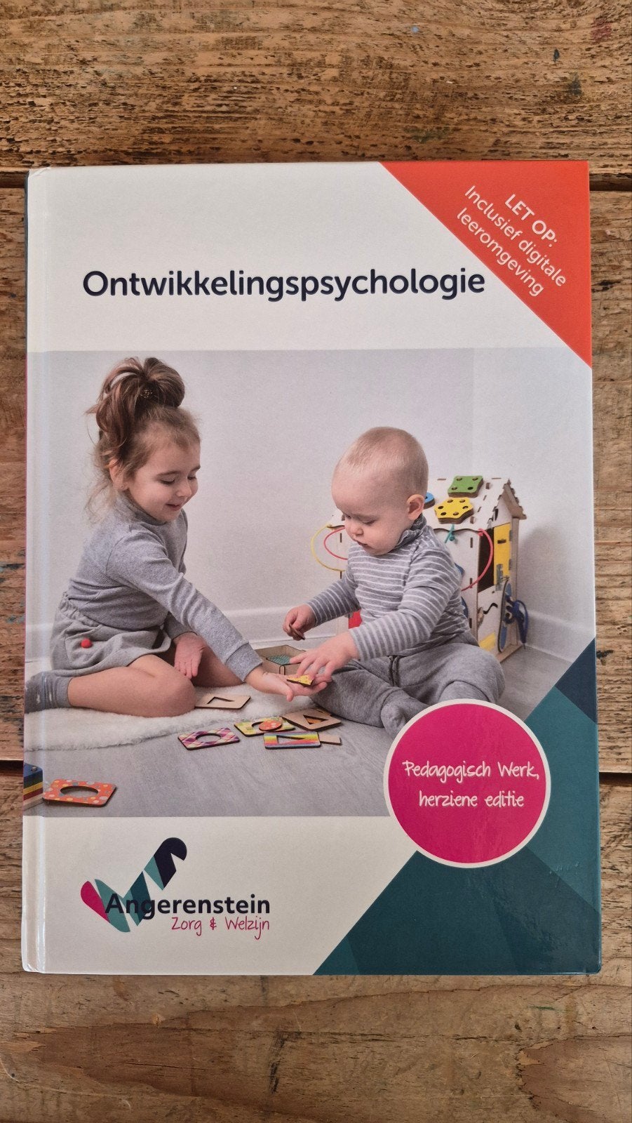 Ontwikkelingspsychologie - Pedagogisch Werk, Boeken, Ophalen of Verzenden, Zo goed als nieuw, HBO