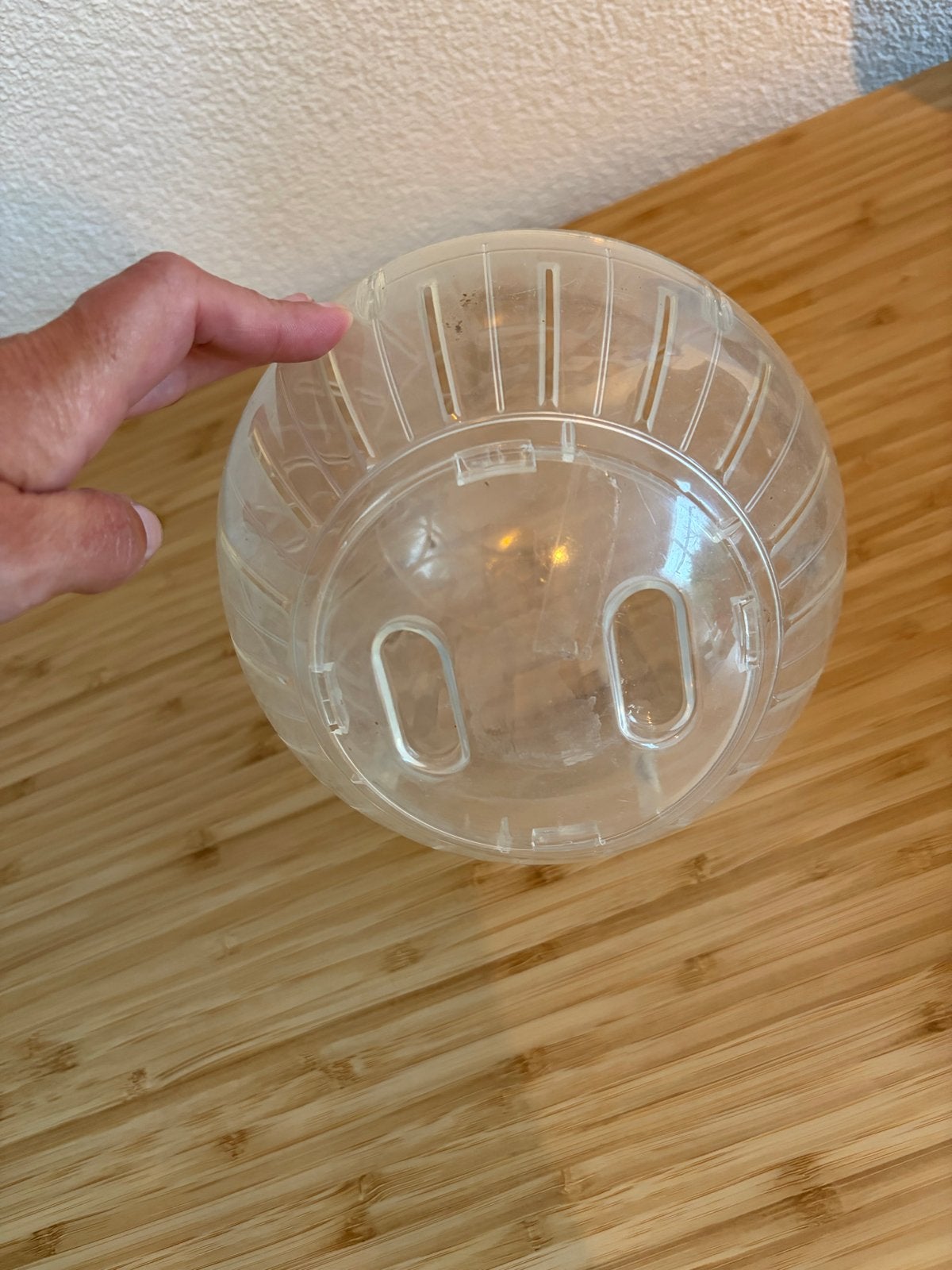 Hamster bal, Dieren en Toebehoren, Ophalen of Verzenden, Gebruikt, Loopwiel of Rad