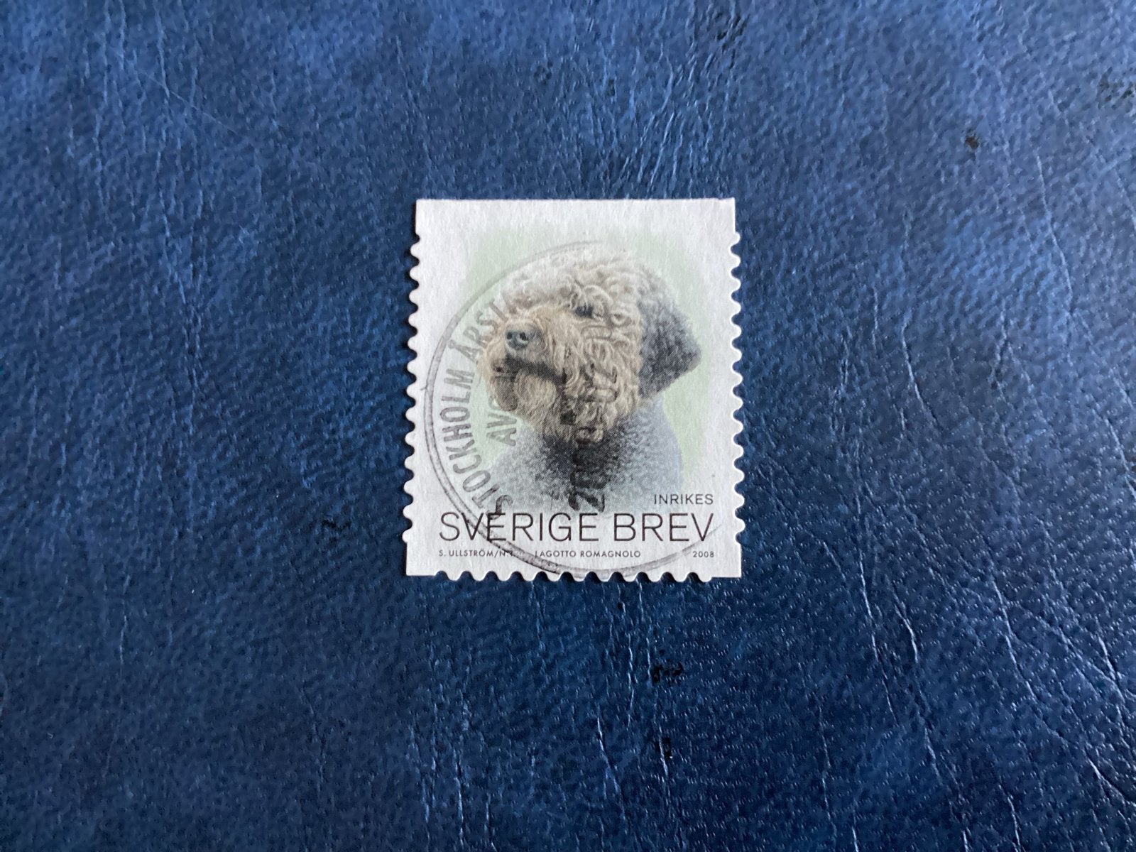 Zweden 2008– Mi.2618- Lagotto Romagnolo hond, Verzenden, Zweden, Gestempeld